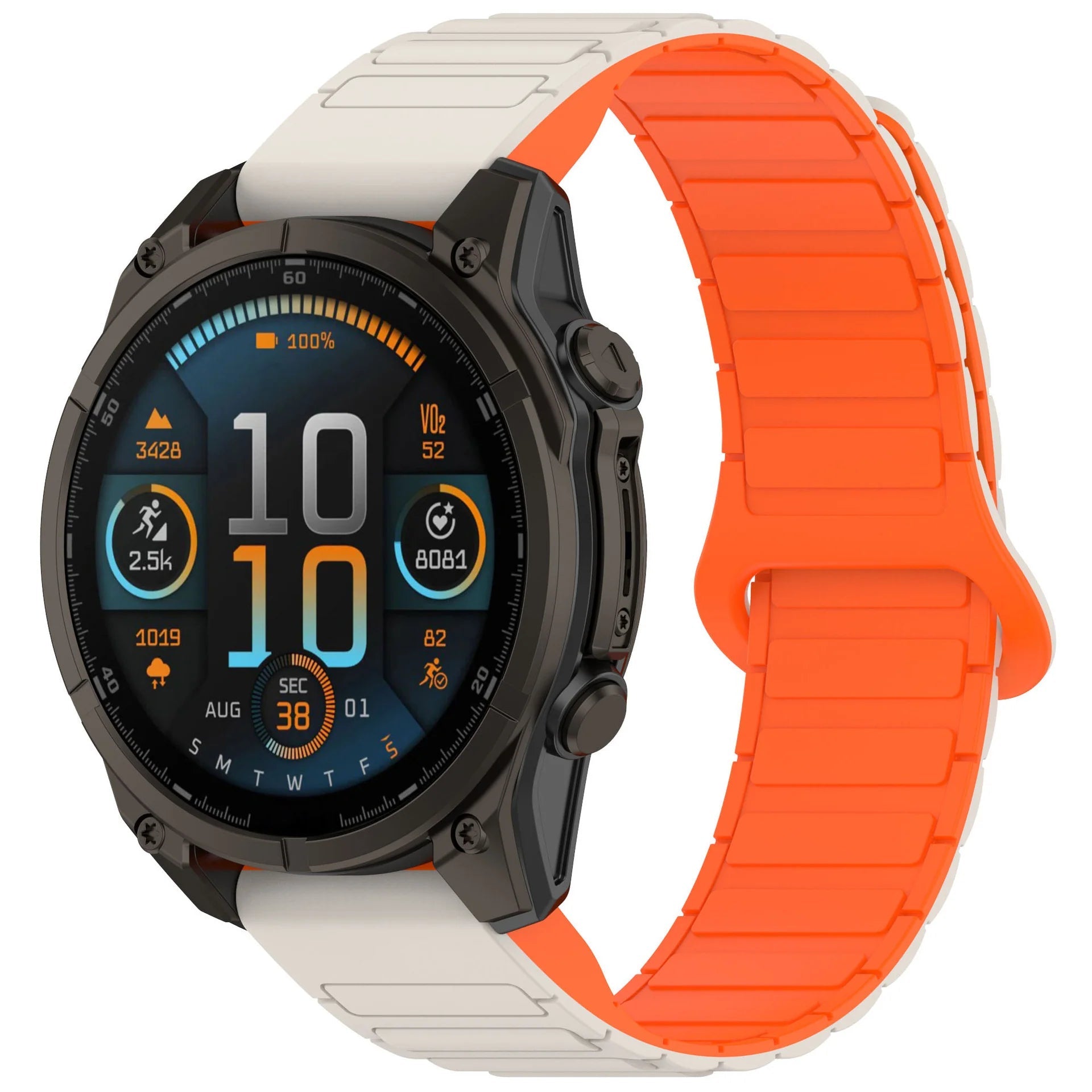 Garmin QuickFit Magnetic Loop Band